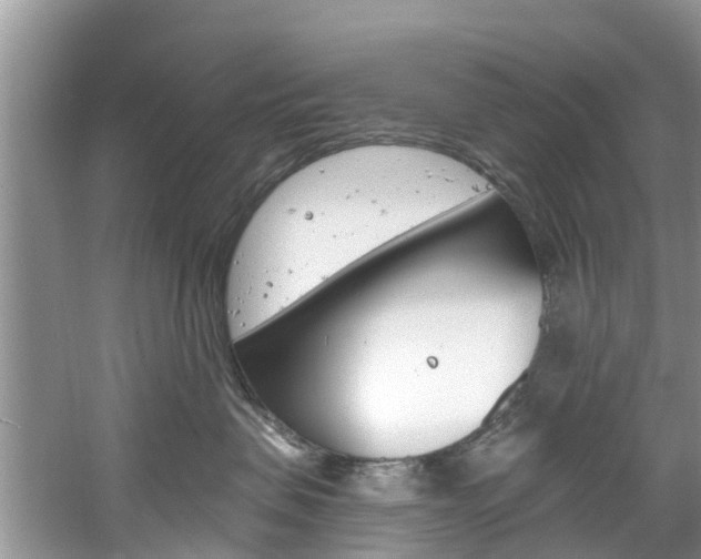 X0000061150479200511181037