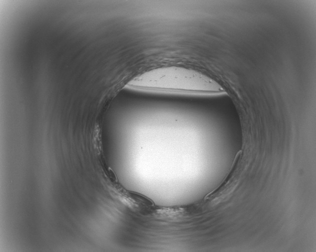 X0000061150480200511181037