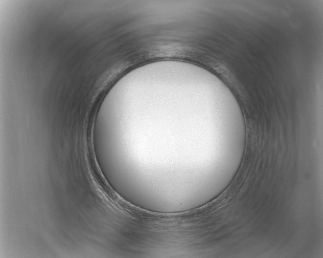 X0000061150482200511181037