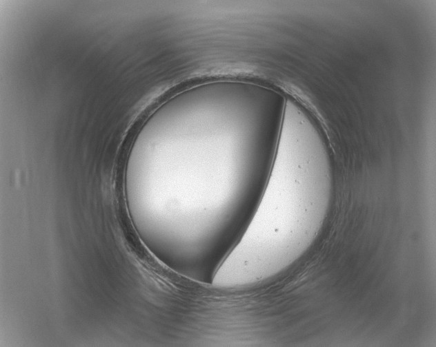 X0000061150483200511181037