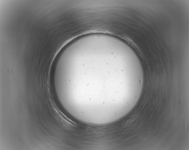 X0000061150484200511181037