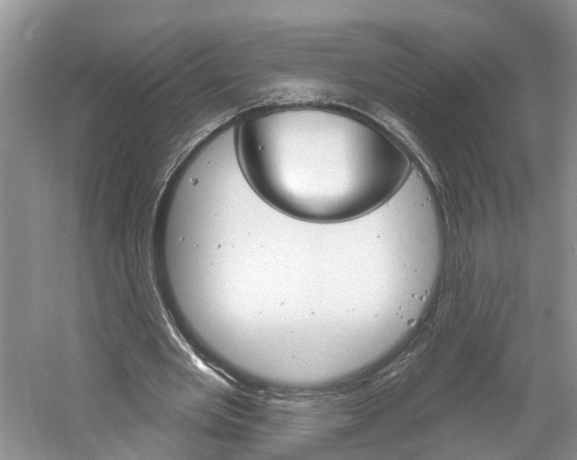 X0000061150485200511181037