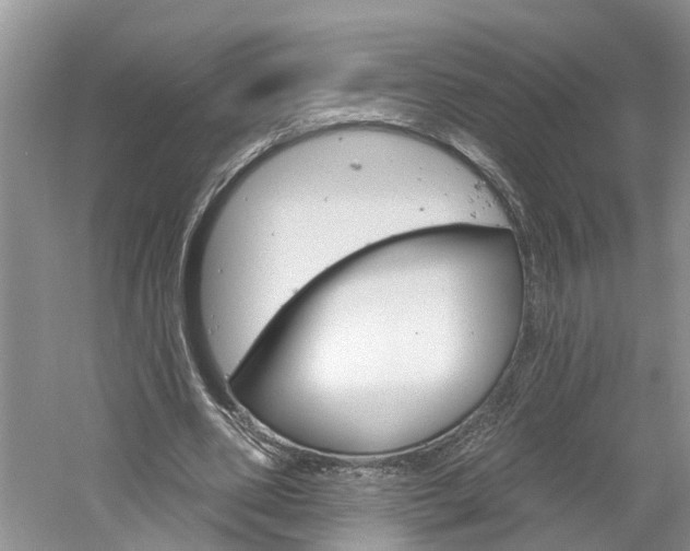 X0000061150486200511181037