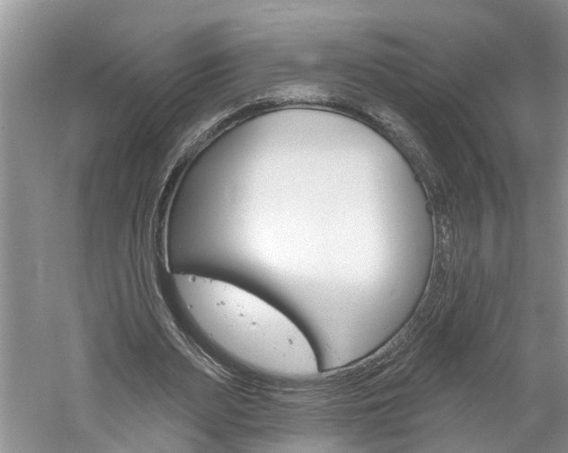 X0000061150487200511181037