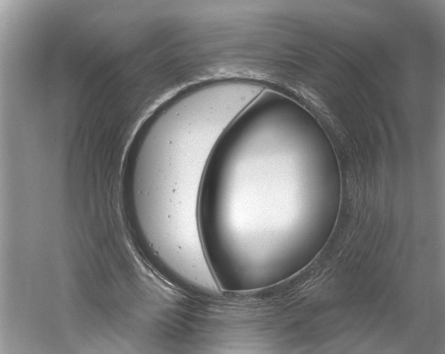 X0000061150488200511181037