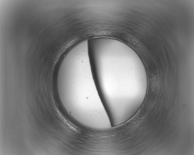 X0000061150490200511181037