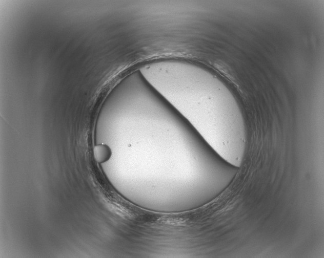 X0000061150491200511181036