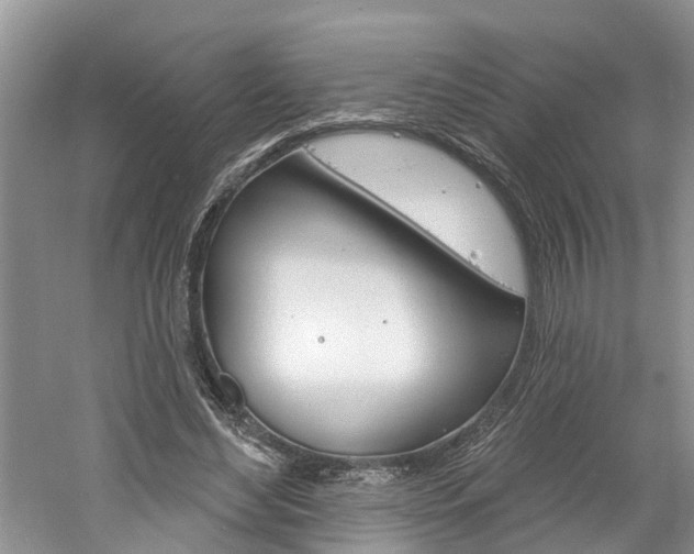 X0000061150492200511181036