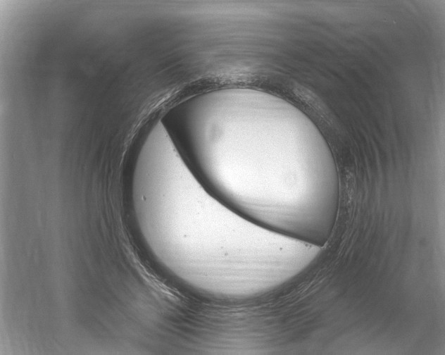 X0000061150494200511181036