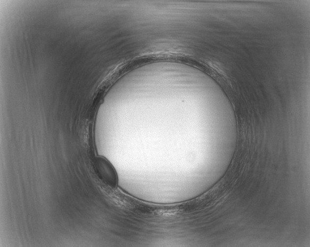 X0000061150495200511181036