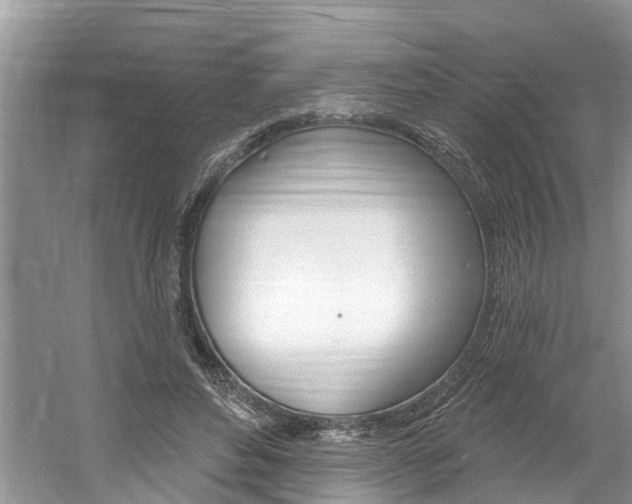 X0000061150496200511181036