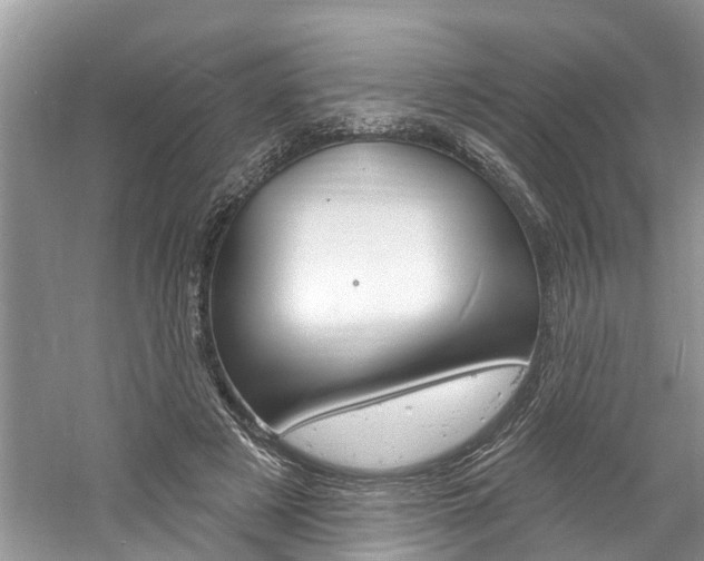 X0000061150497200511181036