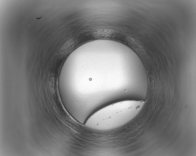 X0000061150498200511181036