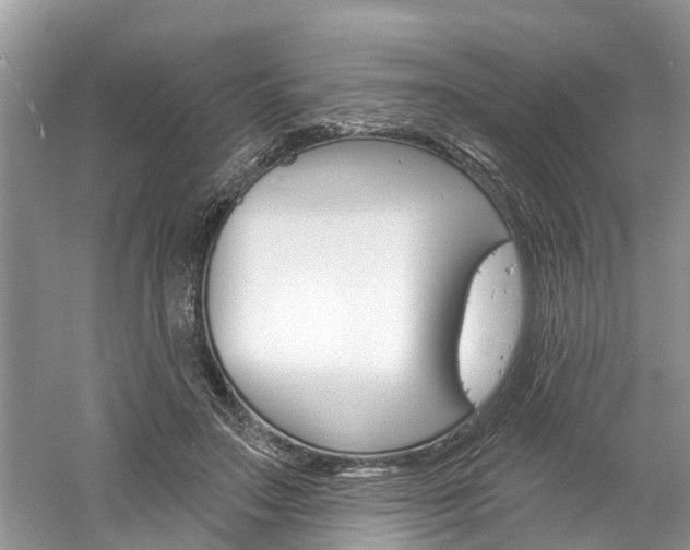 X0000061150499200511181036