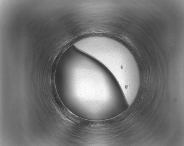 X0000061150500200511181036