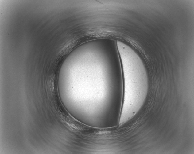 X0000061150501200511181036