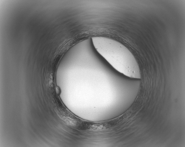 X0000061150502200511181036