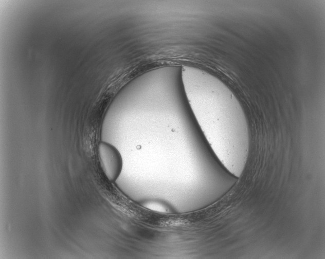 X0000061150503200511181036