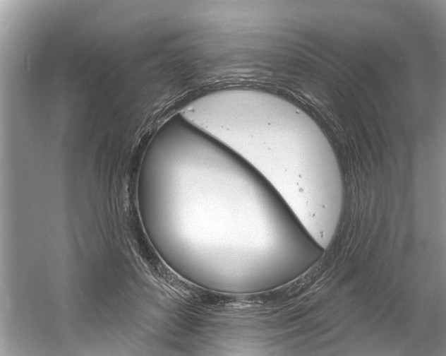 X0000061150504200511181036