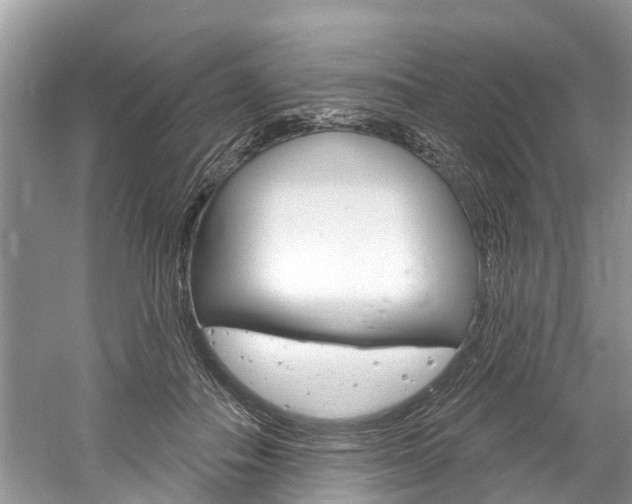 X0000061150506200511181036