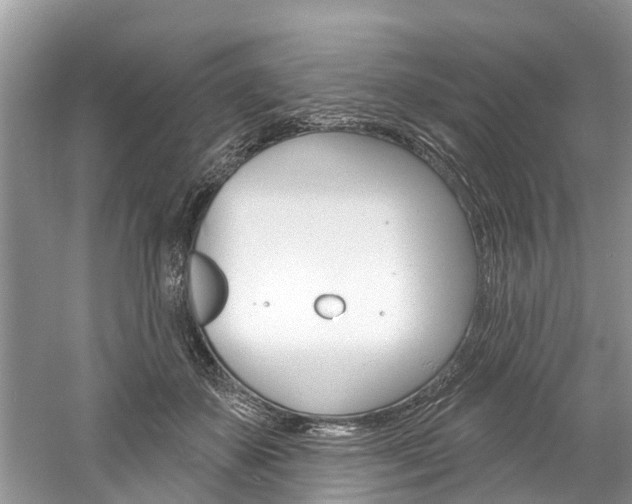 X0000061150507200511181036