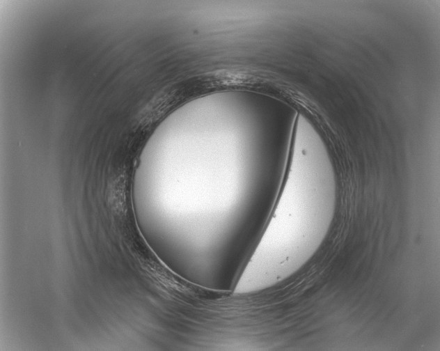 X0000061150509200511181036