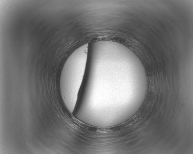 X0000061150510200511181036