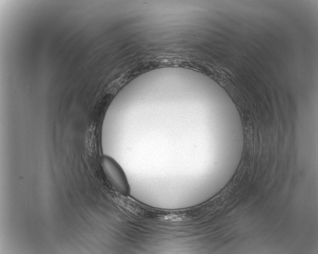 X0000061150511200511181036