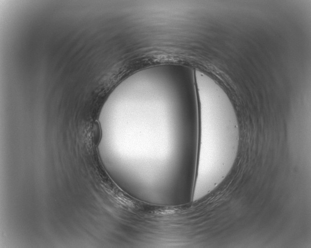 X0000061150513200511181036