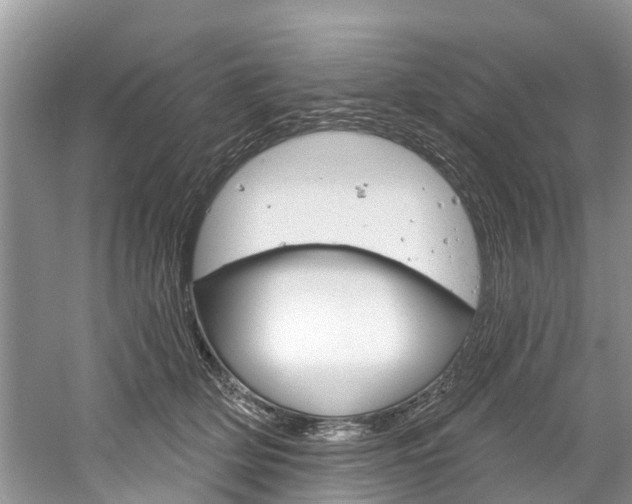 X0000061150514200511181036