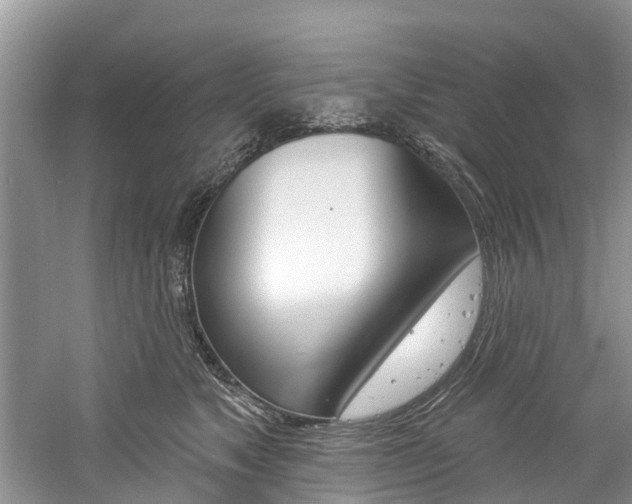 X0000061150517200511181036