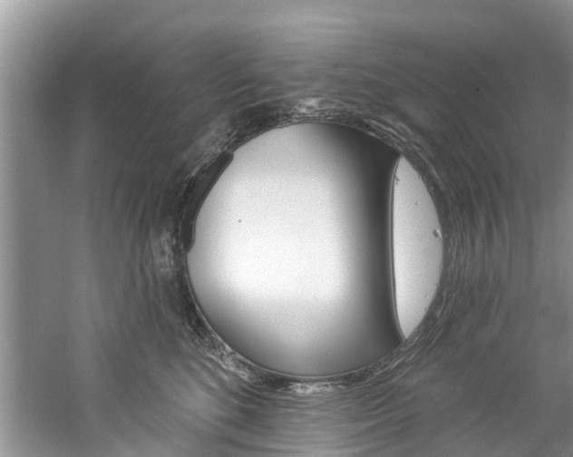 X0000061150520200511181036