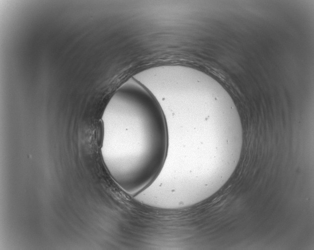 X0000061150521200511181036