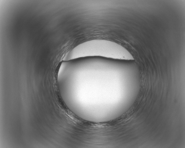 X0000061150523200511181036