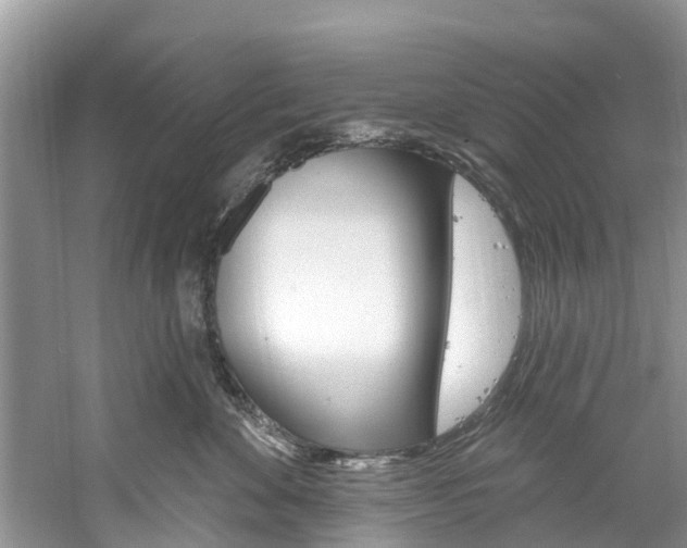 X0000061150524200511181036