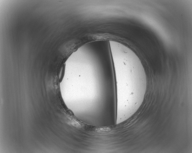 X0000061150525200511181036