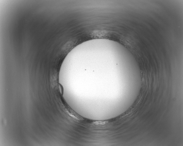 X0000061150526200511181036