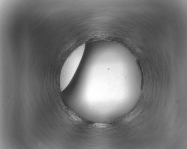 X0000061150528200511181036