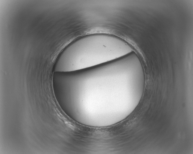 X0000061150529200511181035