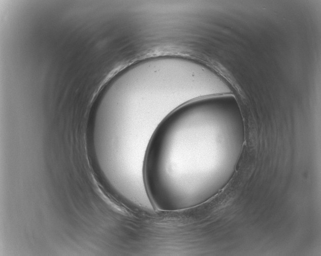 X0000061150530200511181035