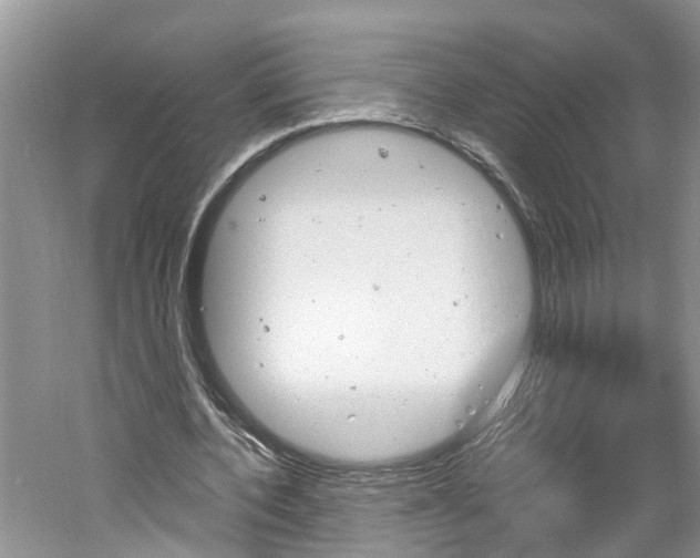 X0000061150532200511181035