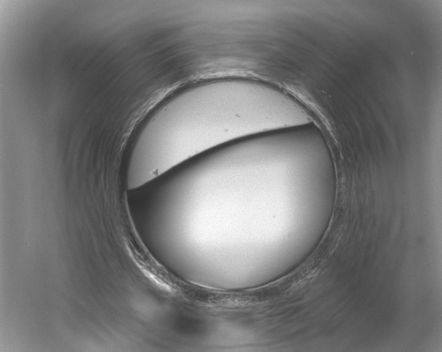 X0000061150533200511181035