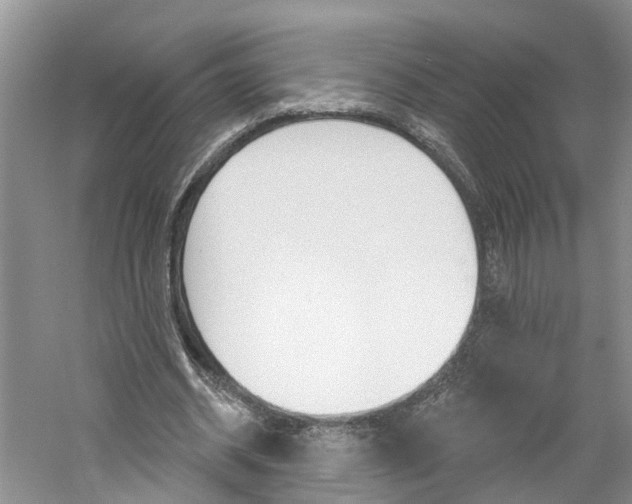 X0000061150534200511181035