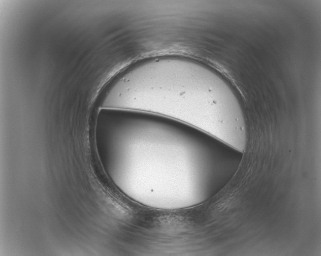 X0000061150535200511181035