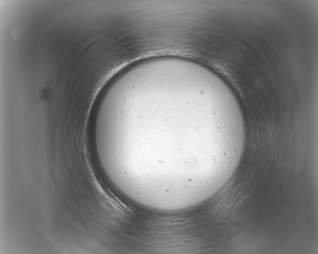 X0000061150536200511181035