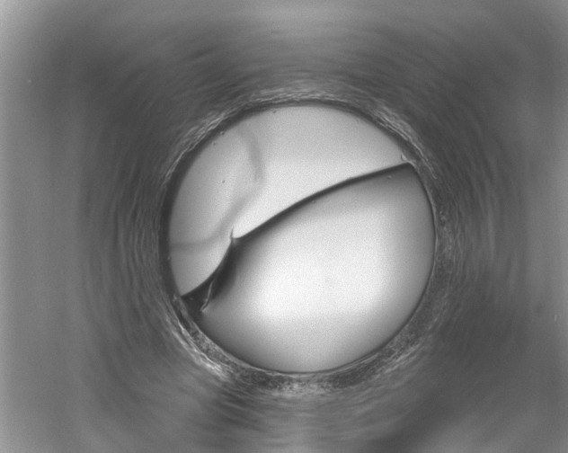 X0000061150537200511181035