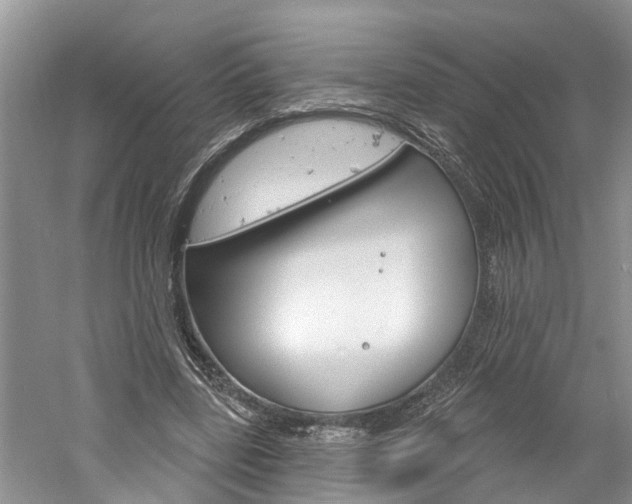 X0000061150539200511181035