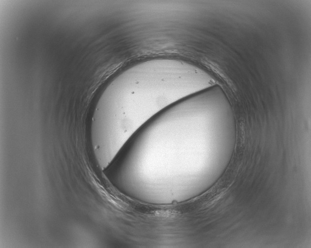 X0000061150541200511181035