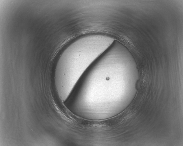 X0000061150542200511181035