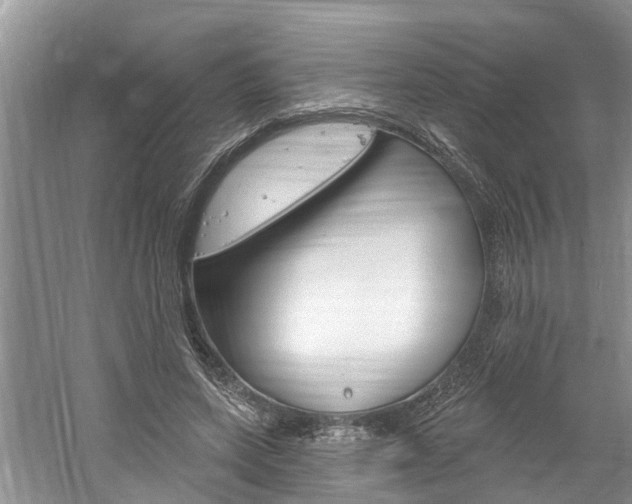 X0000061150543200511181035